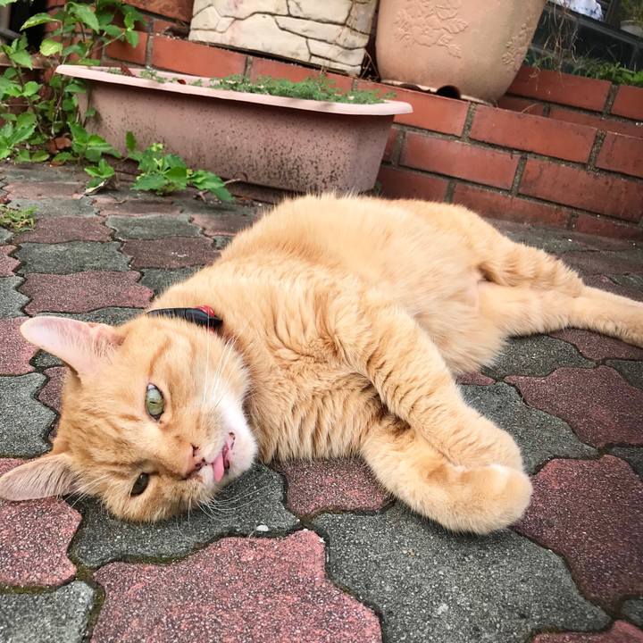 2fd24130 d9d1 450e be54 e0446e6682fc 1536653720571