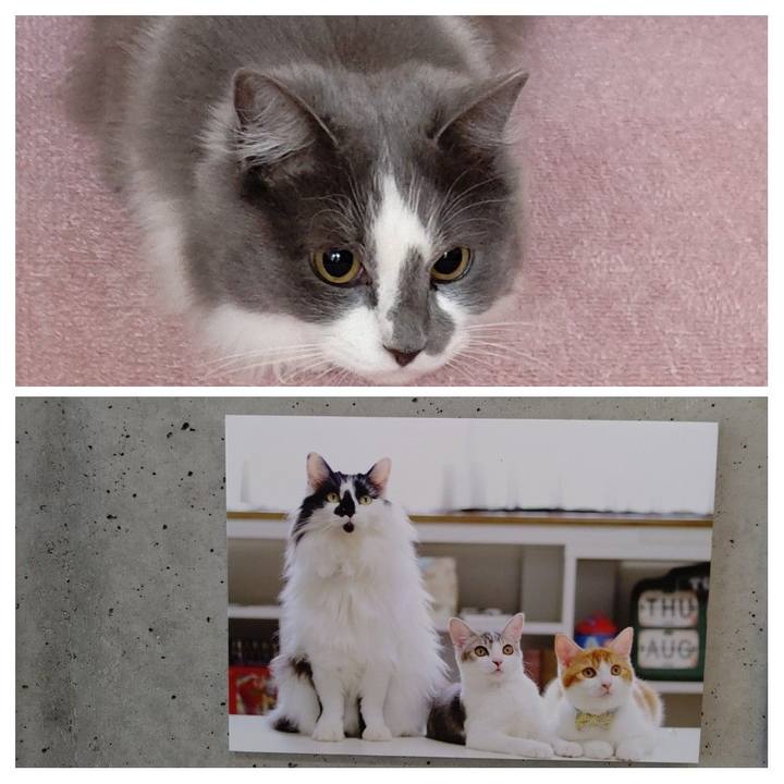 2fd2615a d0b2 467f 9a98 ae8cc03618c7 1584964135306