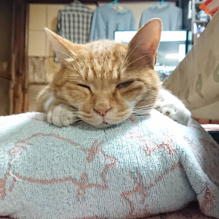 2fd265d7 8207 423c a99b 9d48c628d4c9 1605170870638