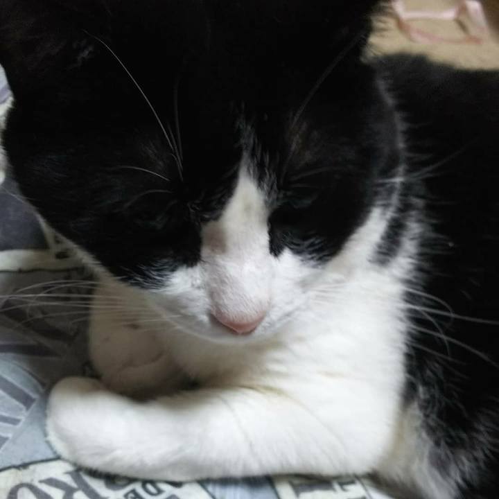 2fd2786a 17c0 41f6 bff8 b89862182cf1 1528667510499