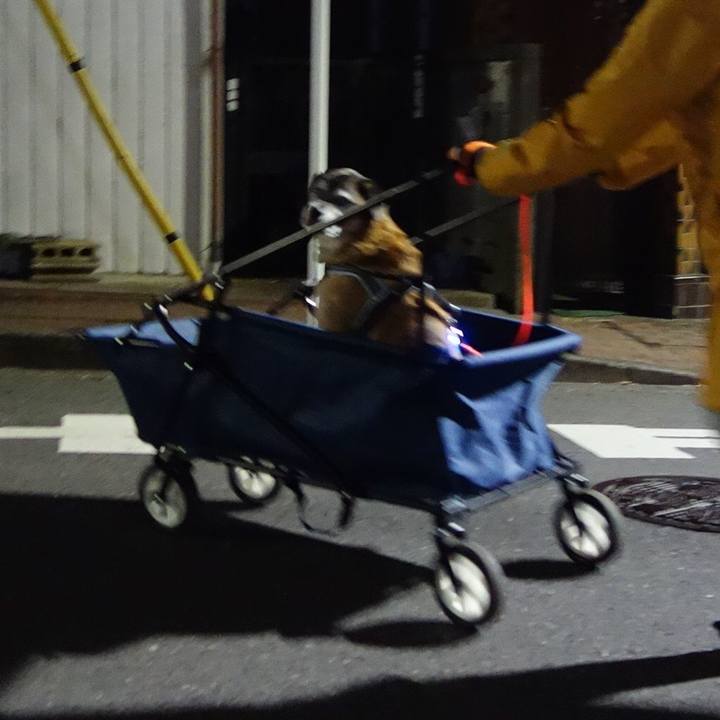 2fd283be 5c55 4259 8737 4c0fa3db7a66 1575453341204