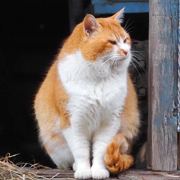 2fd28f83 9608 44d5 a110 0eb771777789 1767006442597