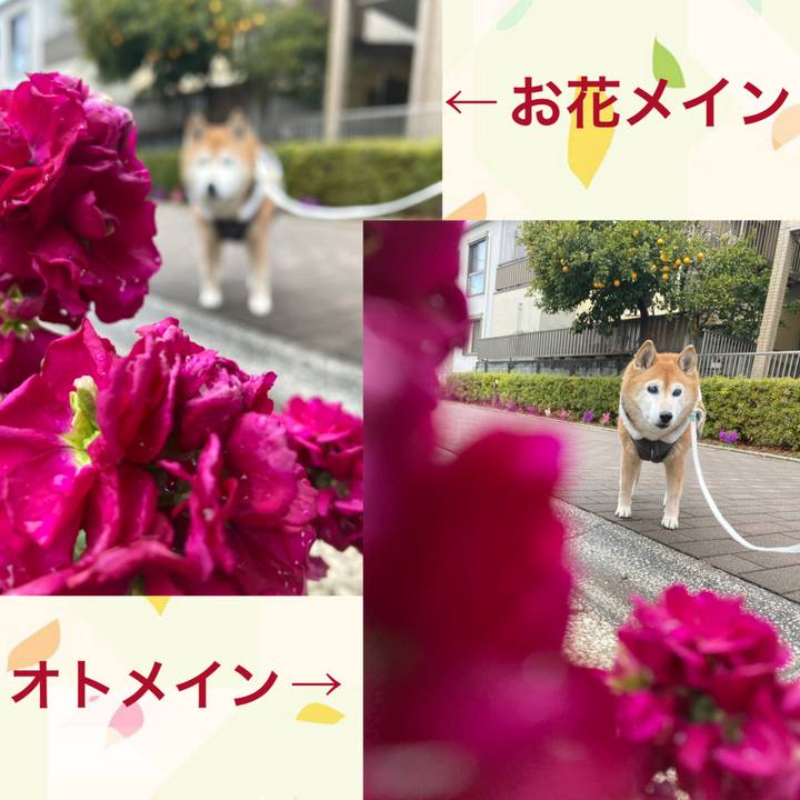 2fd2c425 a22b 4ef0 aaad 037271684a1b 1738482726442