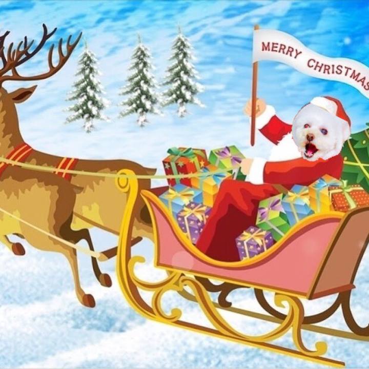 2fd2cbd5 c074 4d2d 8ae0 88aa0d15e879 1545546492173