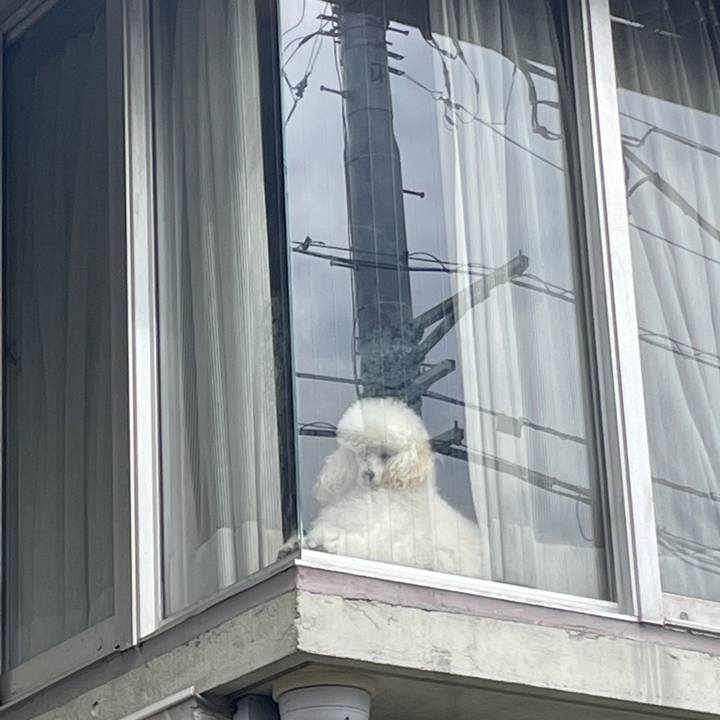 2fd2cf59 5210 4b9b 9a59 53ef9aa5013a 1677633789387