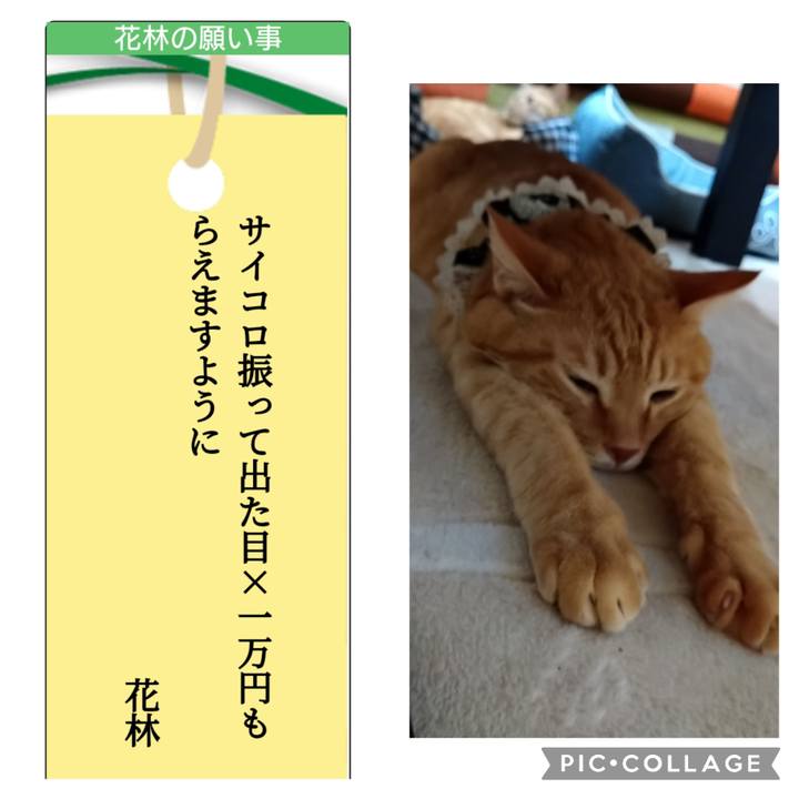 2fd2cf79 4fdc 48e7 91c5 ccc6466bcdb6 1688878811722