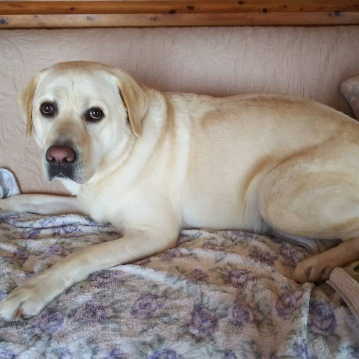 2fd2d7b1 0797 497f a028 0e43b8420cba 1564711733266