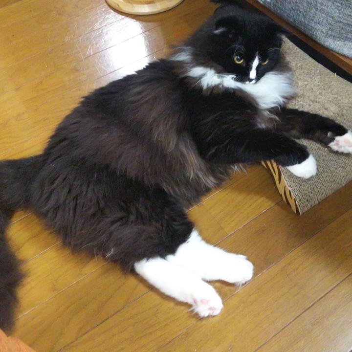 2fd31959 37b4 4808 87d4 a1d57d0111a2 1657887997073