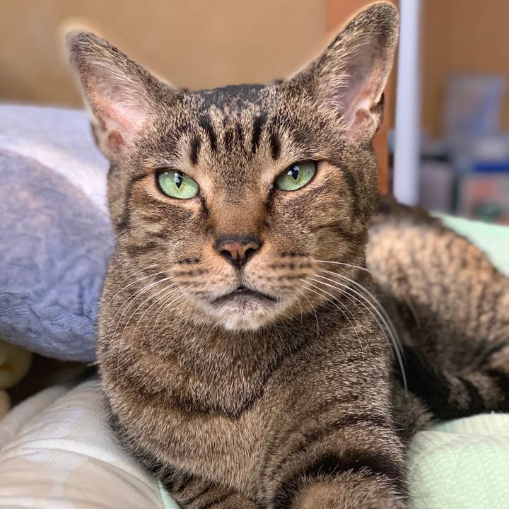 2fd32e29 db3d 42a3 a2e7 8175972ec63b 1558054377474