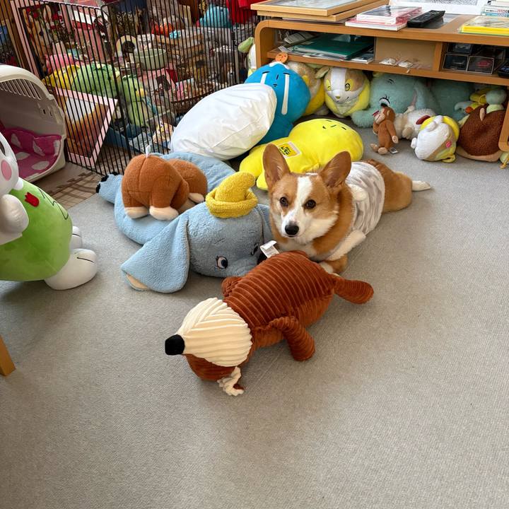 2fd3475f 3f88 4d69 ba34 e20f3b55e65a 1768609306910