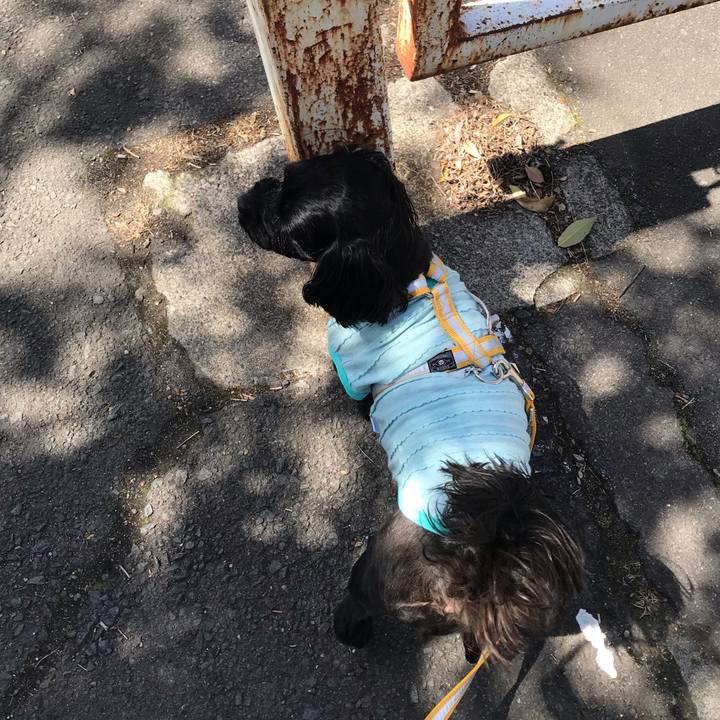 2fd38432 2414 4e22 b8e7 38d8c8eda9f0 1554556378757