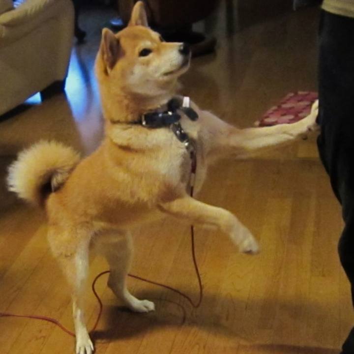 2fd39adc 6686 4143 9fc2 64e163cf13d0 1708658287046