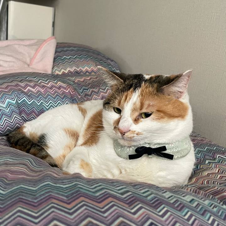 2fd3a3c1 a441 422f 85fd 1cd6cc12c7fd 1677195284348