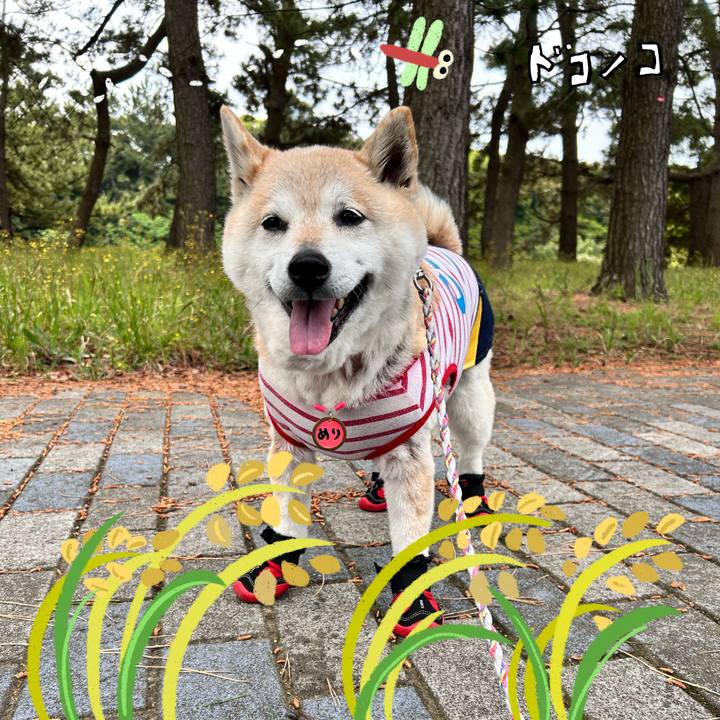 2fd3a7ef 740f 4a2f b442 bda86cdc8064 1761128910265