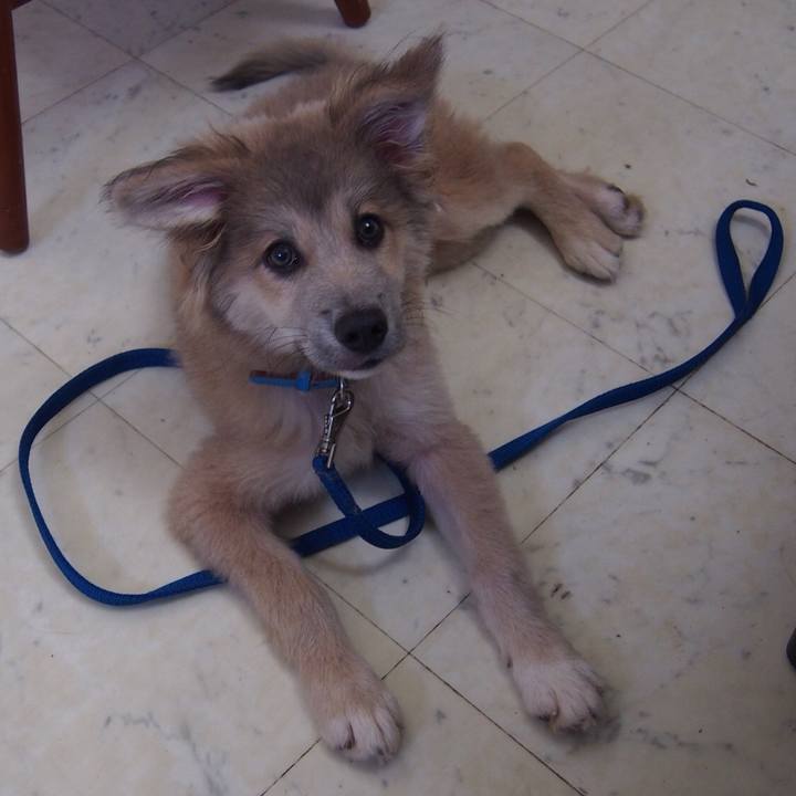 2fd3b7be ec75 4f4a 9a43 5b04184d4421 1520437193097