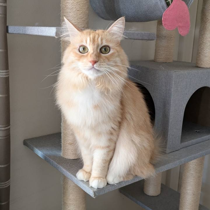 2fd3ccf1 b792 4d01 a11b bec7f22324e0 1729402186638