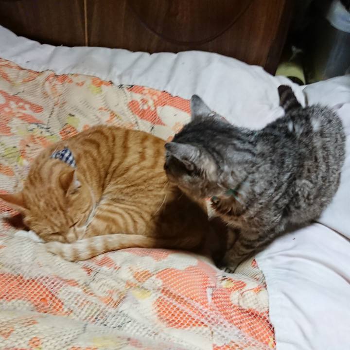 2fd3cf97 2a89 493d 8793 782919f6a069 1573561194578