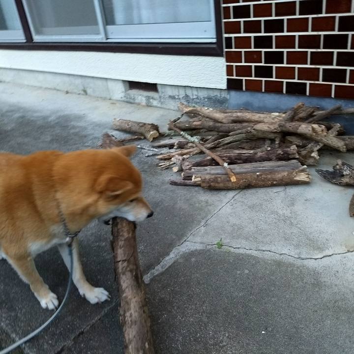 2fd40df7 1694 43b1 8ff0 46cbc7312769 1541853872425