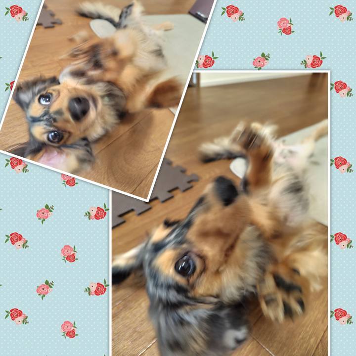 2fd492e1 e2b7 442a bbc7 717ce0be7718 1724194503092