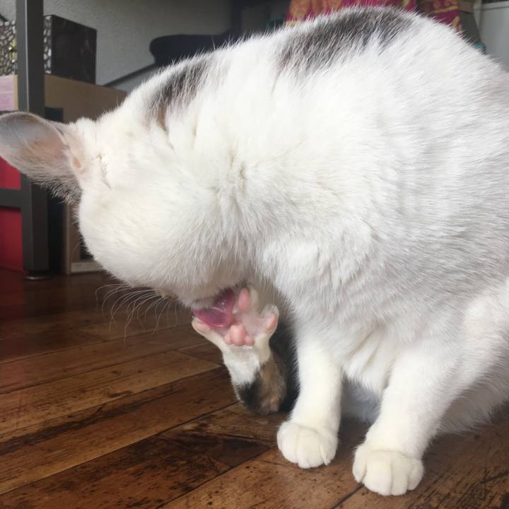 2fd4eeed 71b2 4335 86bb b43738074d94 1548424418006