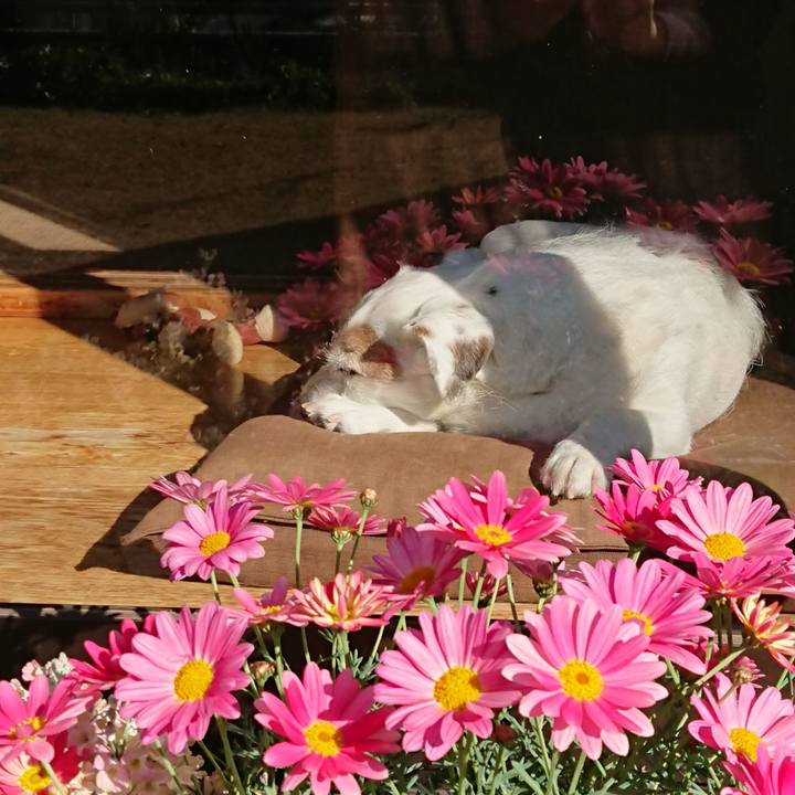 2fd507f6 425b 4208 9153 4f864828a66e 1552260938968