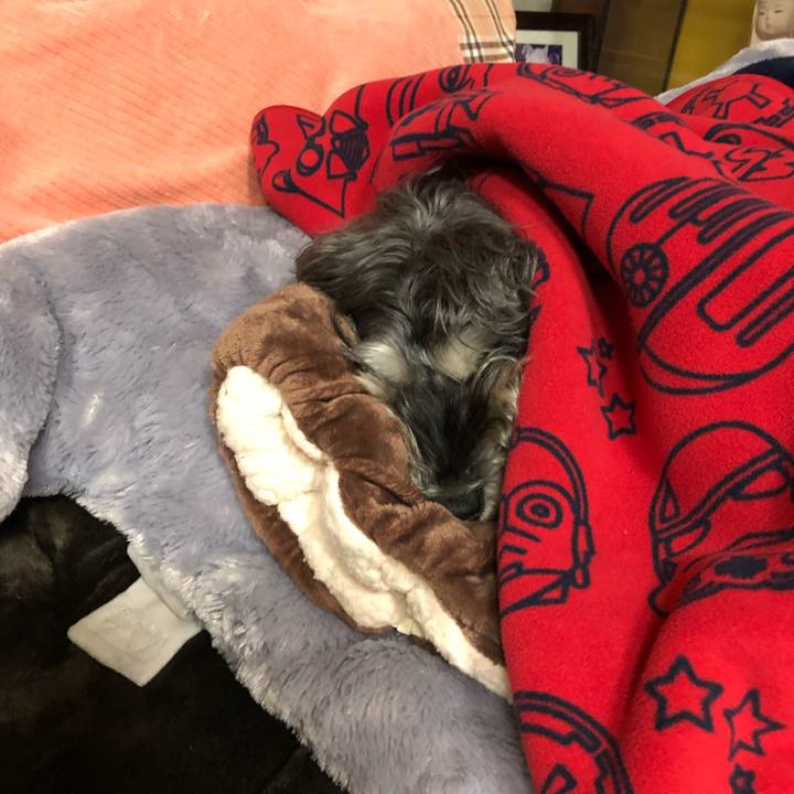 2fd511a1 3f44 42b4 ac91 fd668990579b 1607951973987