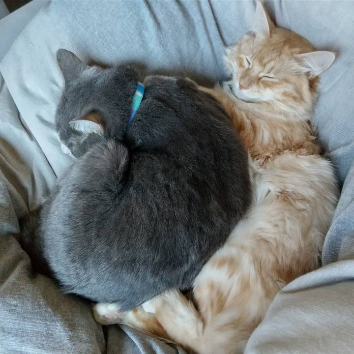 2fd545da e304 425a 8457 cb86600398ee 1636857821541