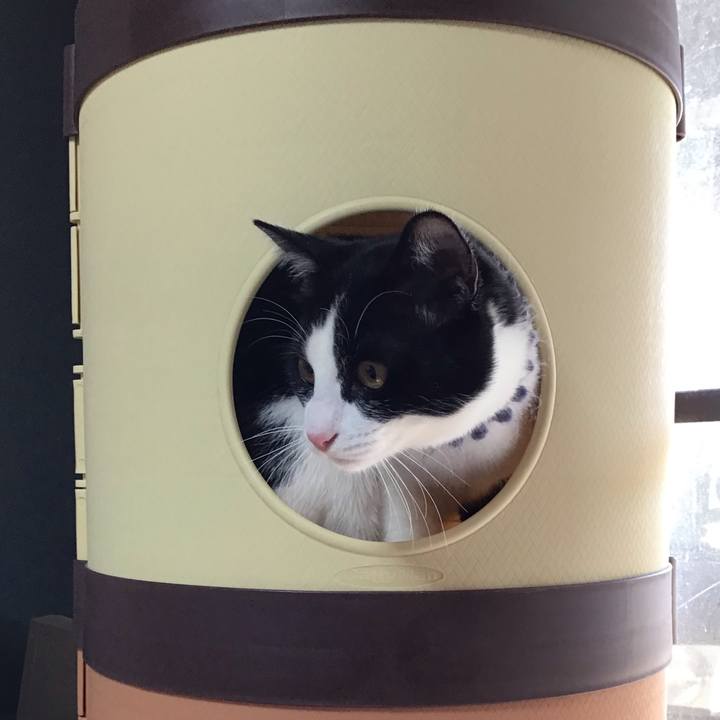 2fd57532 3de8 4228 b3e2 7b9f07e5abe0 1641624578566