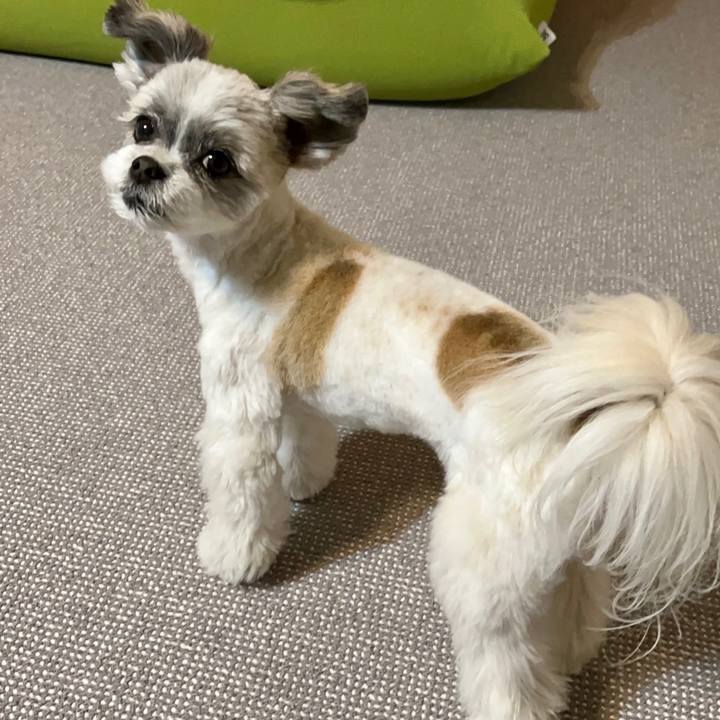 2fd58c32 af7a 4b96 aa3e 658e99bbf8f9 1646632233574