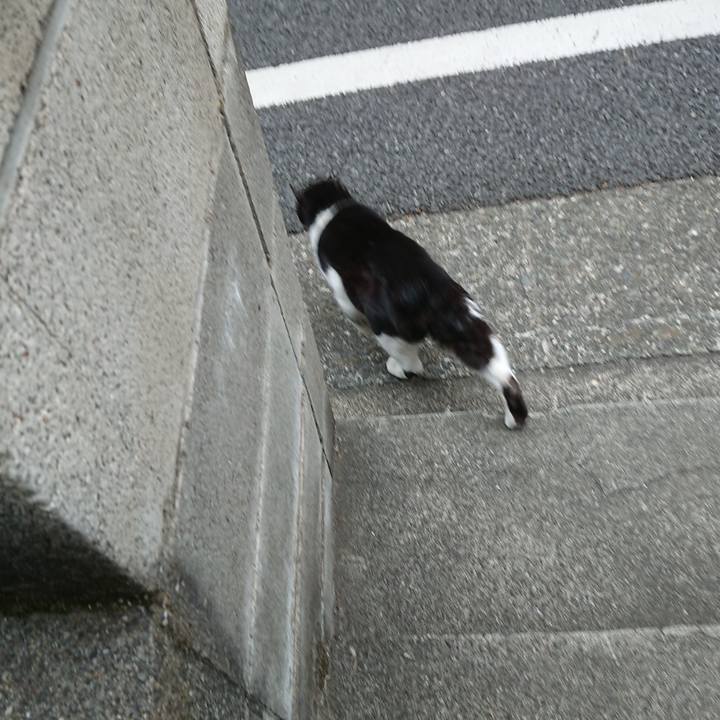 2fd59254 5a1c 4090 a304 3ea37e9eb506 1678612772700