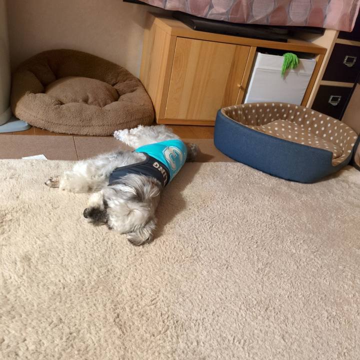 2fd59cba 4626 4f69 9d3c c0112abc0e9b 1751376347742