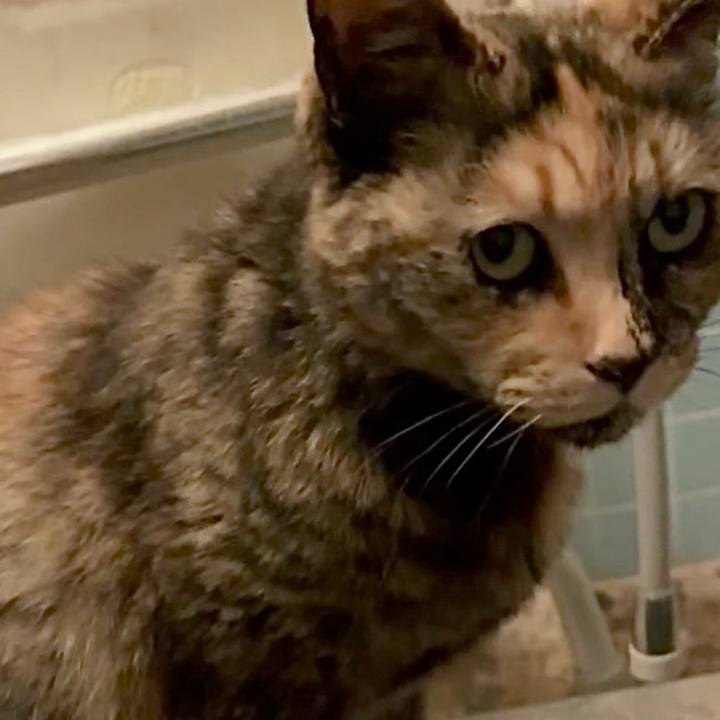 2fd600f8 96c9 48c1 b9ef 252e612a46c8 1745178329584