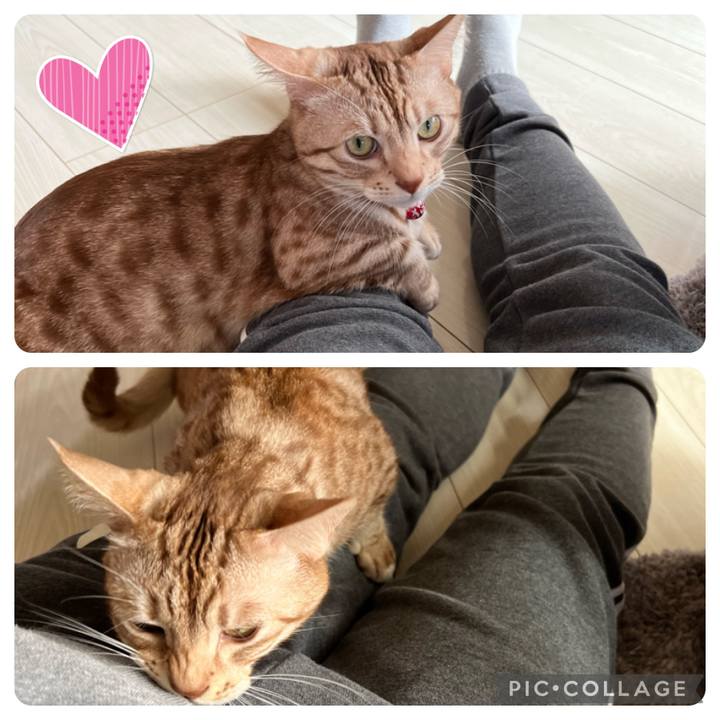 2fd65e9f fb68 4849 9076 f91a31f754ff 1674277444147