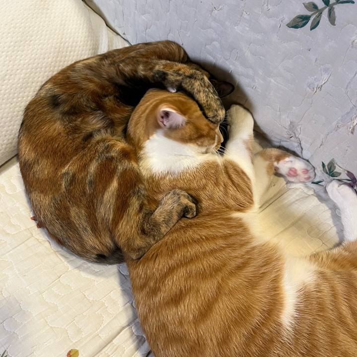 2fd68828 7c72 4320 9dfd ce96a7308f53 1674809422709