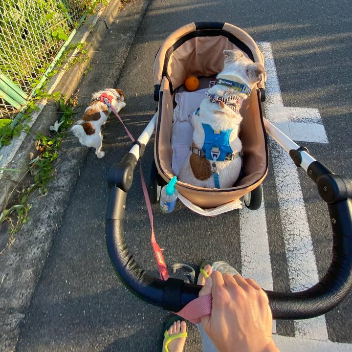 2fd68ab2 64d6 412c bc09 bb2a5c94fe70 1722291288786