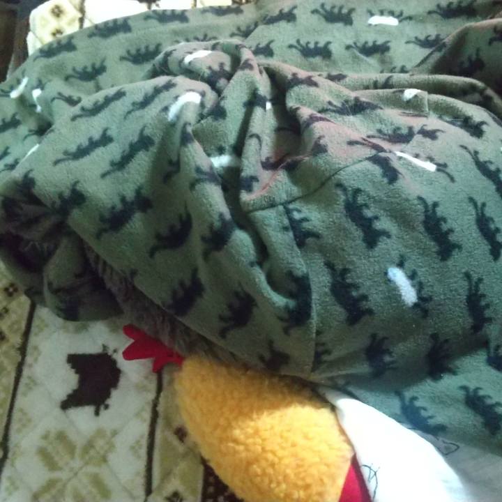 2fd6b3e5 5cbf 4562 be7a 8a53d409e2b7 1674858964109