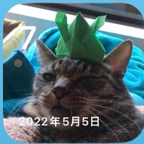 2fd71b79 3f77 4f04 8b01 f621a0831a1e 1778121817975