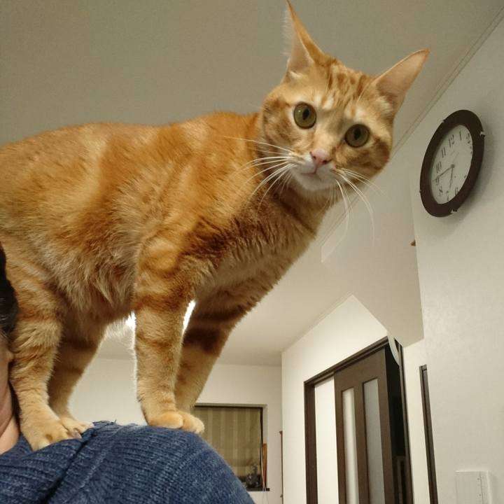 2fd72e63 f942 4c15 9077 00a173303db6 1513072160971