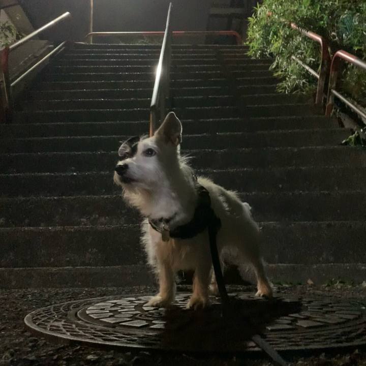 2fd7707d 5d90 4747 a8c9 af36ff2774a7 1729602359299