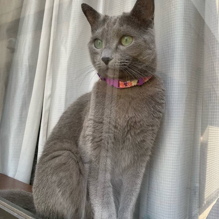 2fd79495 8361 47e5 b2ab b456fb80009e 1653944975290