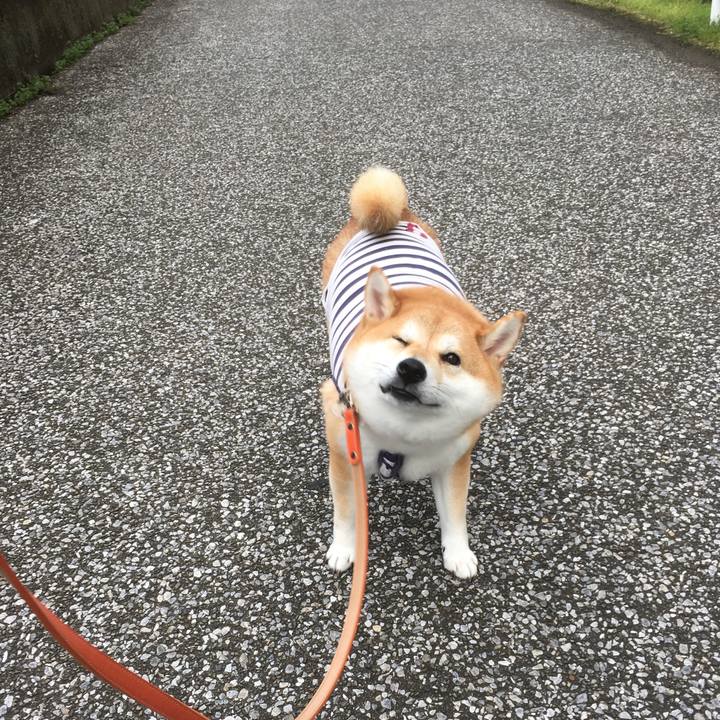 2fd7a9ea 9800 44f8 8300 72fb051c9b86 1541395793508