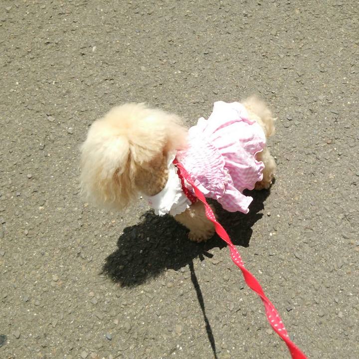 2fd82134 2558 454f 889a 4a733a8c12cf 1559118736527