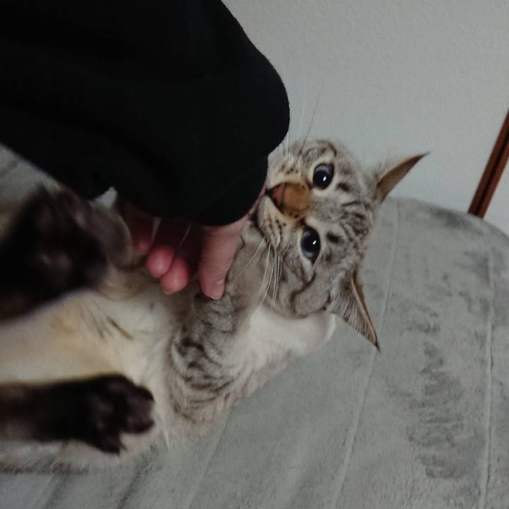 2fd82ee6 1196 4184 875a e9bcf320a508 1580126683926