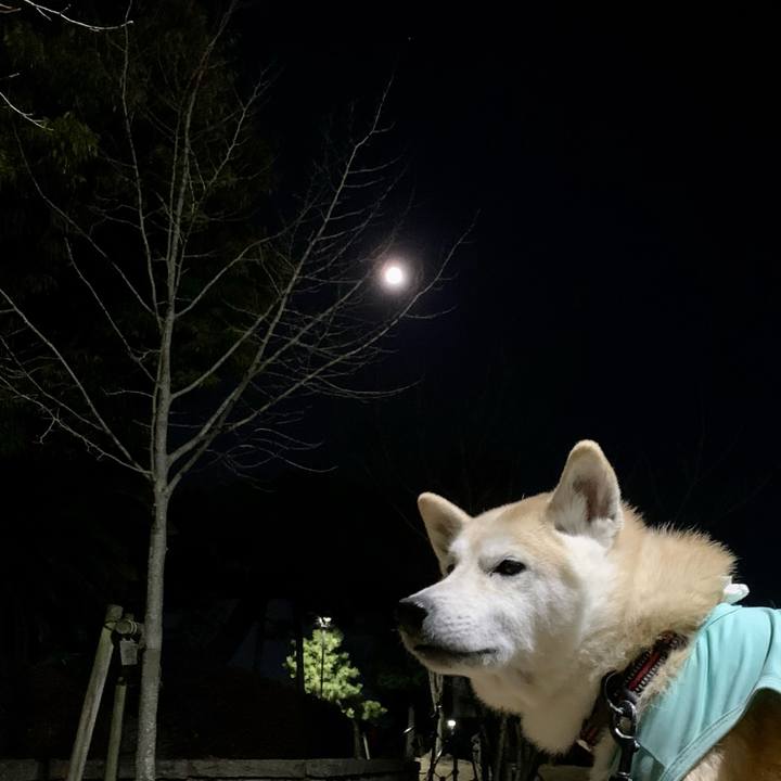 2fd835c6 b737 49c3 9c78 513e205b3838 1642553729749