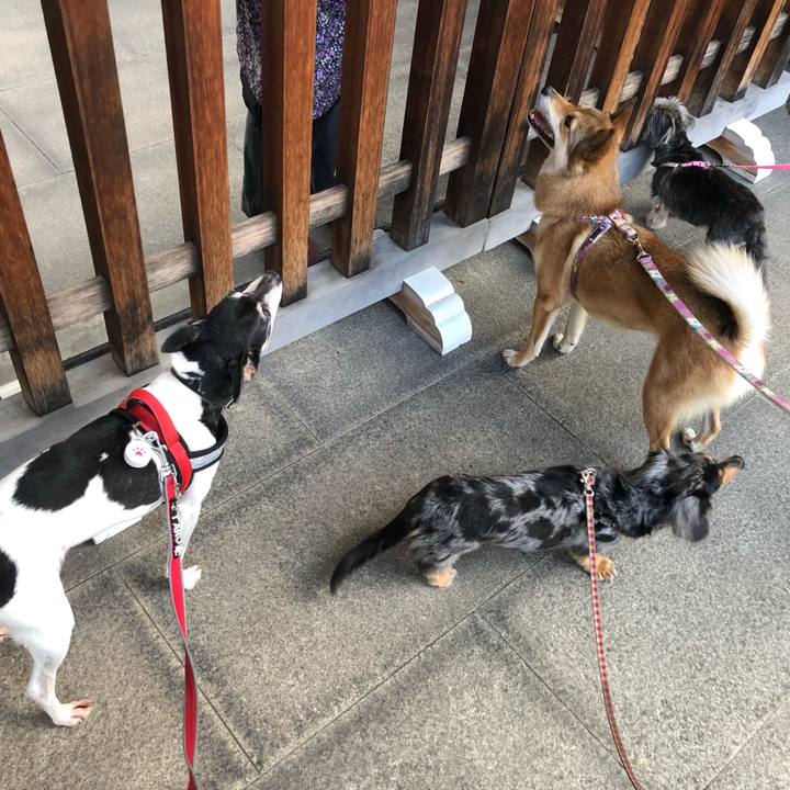 2fd838fa 7e7b 4073 b67e 0b68fcf93b39 1563184644567