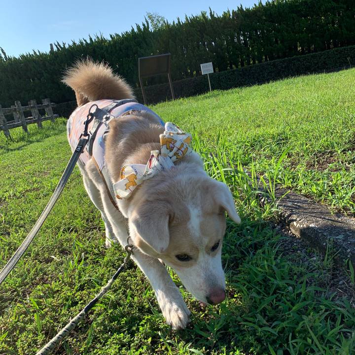 2fd8631c 0290 49c9 9434 f4d3ceb28c5c 1567299595739