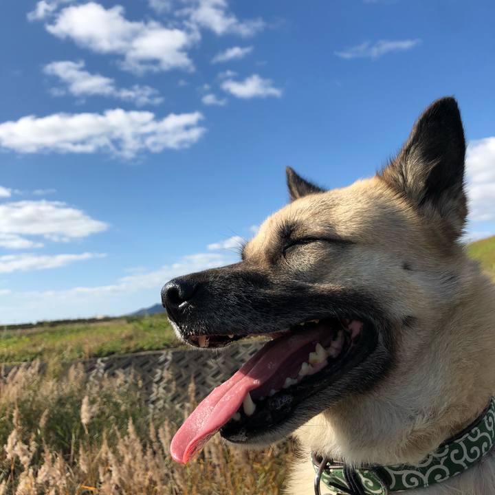 2fd8de15 ad7b 457a 875d 506d2d019f38 1605945273242