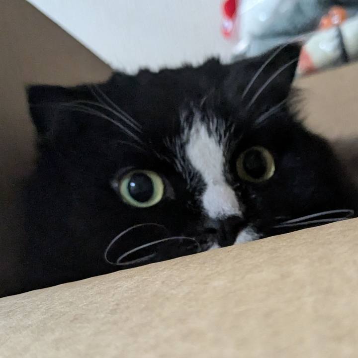 2fd8e89d aded 4df1 999d c21cbb7b9ec9 1760349214820