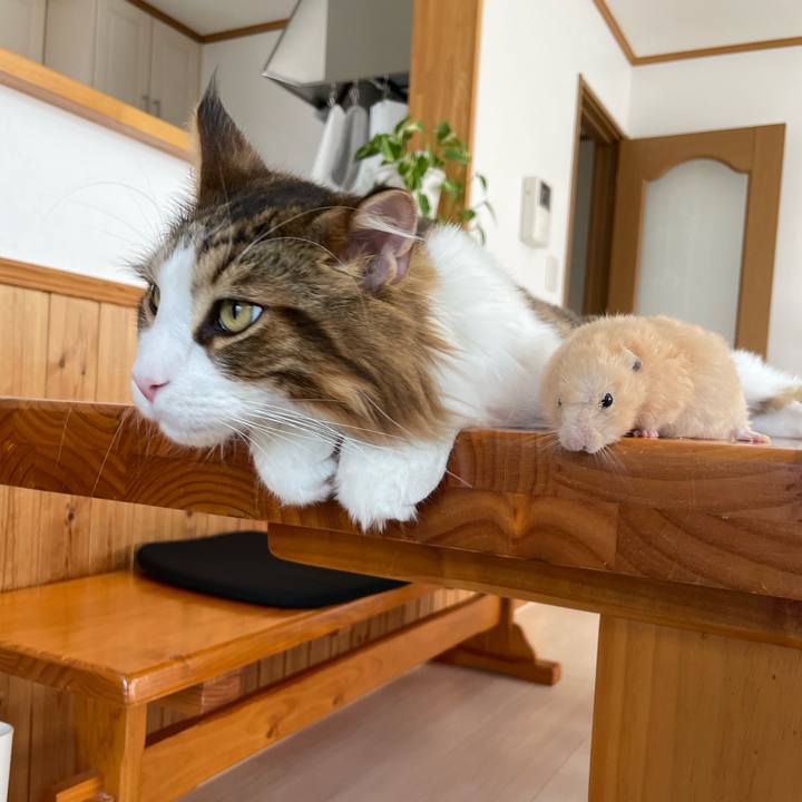 2fd9038e 2af1 4d53 ab75 5f21bee8b4d3 1661659908355