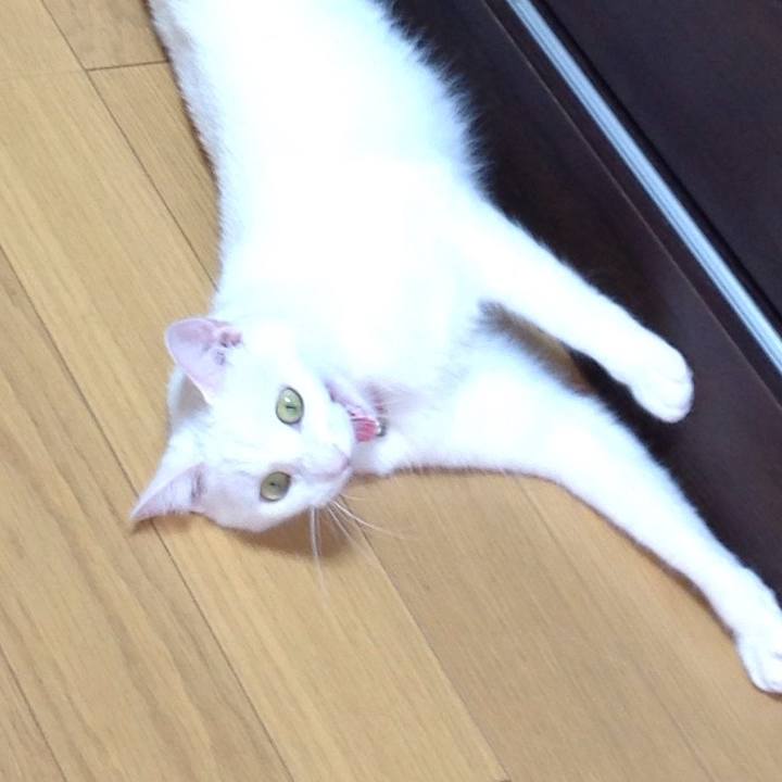 2fd9c0ba 16f2 4458 8ee1 a3c08e224232 1627780249448